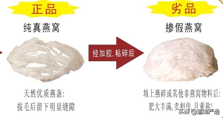 燕窝非常贵,燕窝特别贵