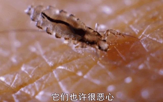 主持人用生命拍片系列，大写的牛掰