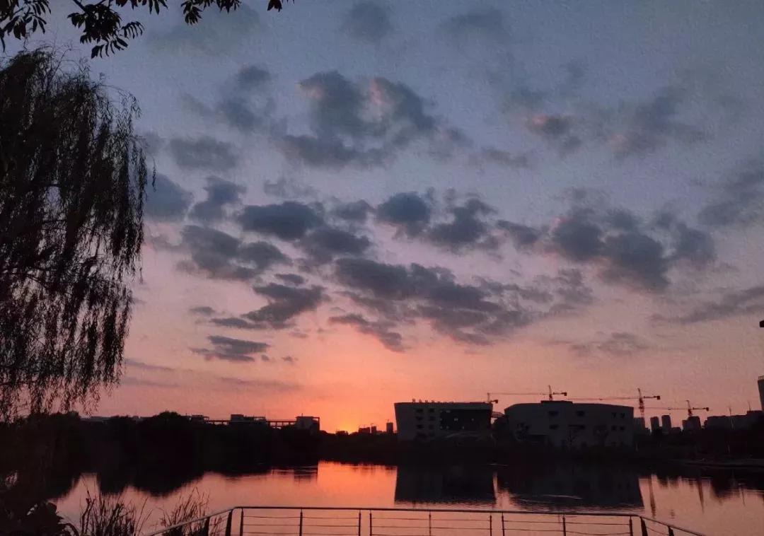 江苏省37所高校,四十六所高校