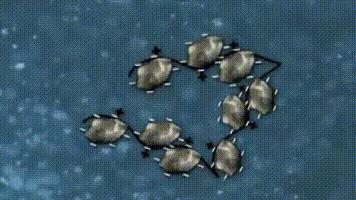 混凝沉淀和絮凝沉淀的区别,环保行业水处理做什么的