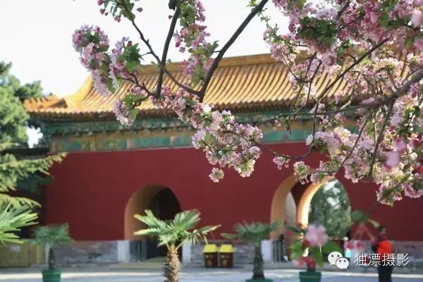 北京昌平区旅游必去十大景点推荐,昌平周末游玩推荐景点攻略