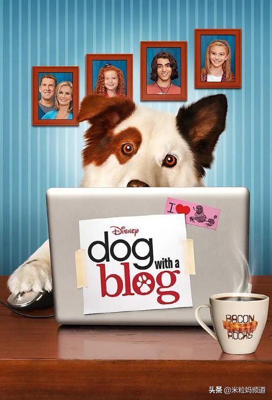 适合高中生看的十部英语美剧,学英语必看的7部美剧2020