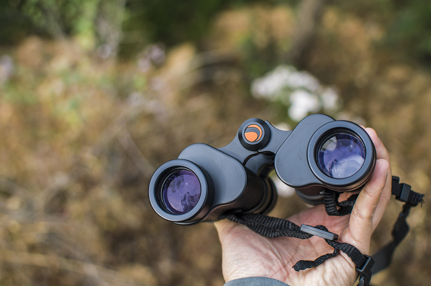 星特朗望远镜高倍高清夜视专业级,星特朗望远镜4mm非球面目镜