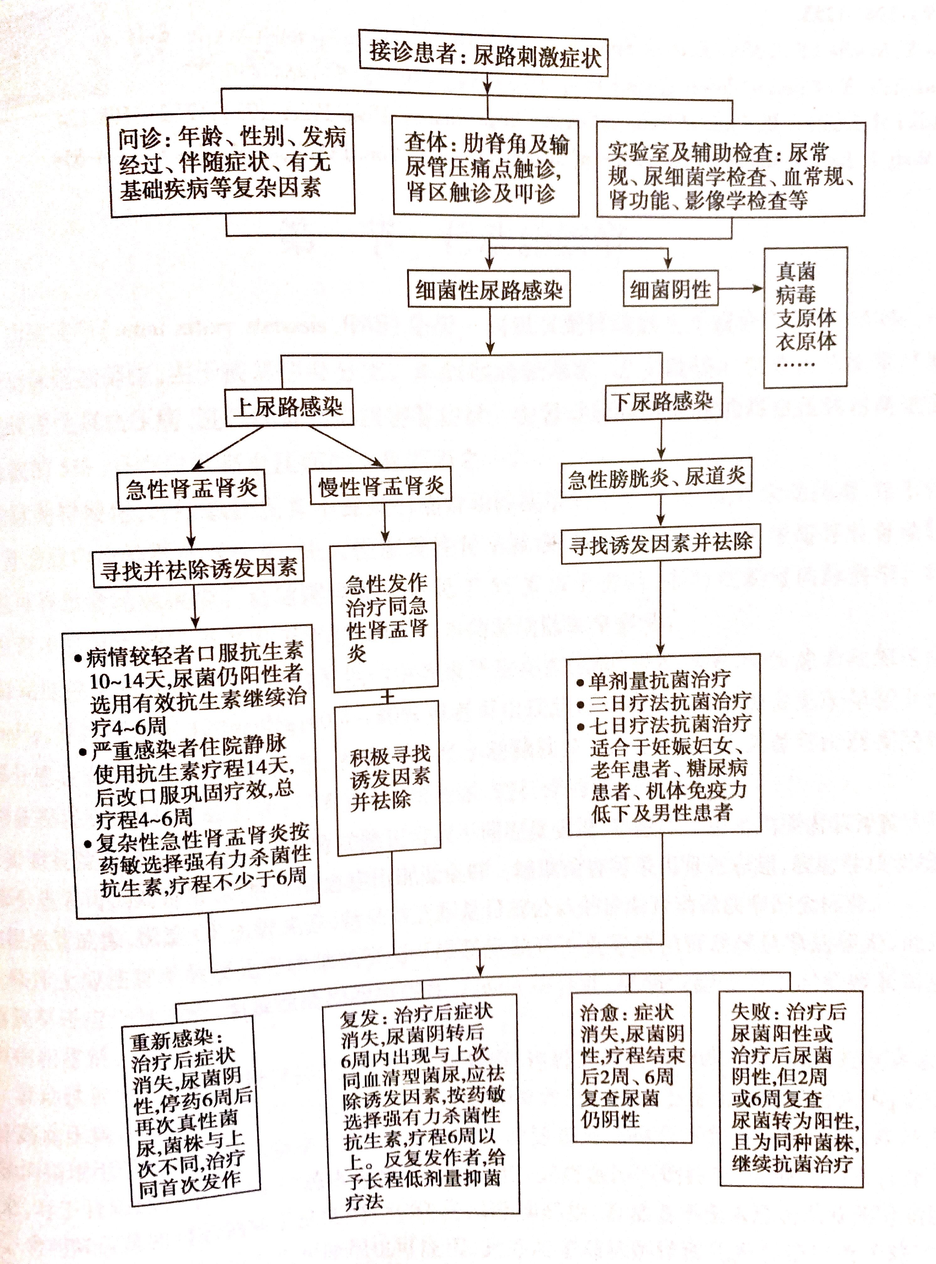输尿管下段结石尿频怎么回事,输尿管下段结石尿频尿急什么原因
