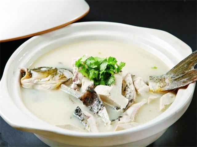 炖鱼掌握技巧没腥味鱼汤又香又白,炖鱼时哪些调料不能放