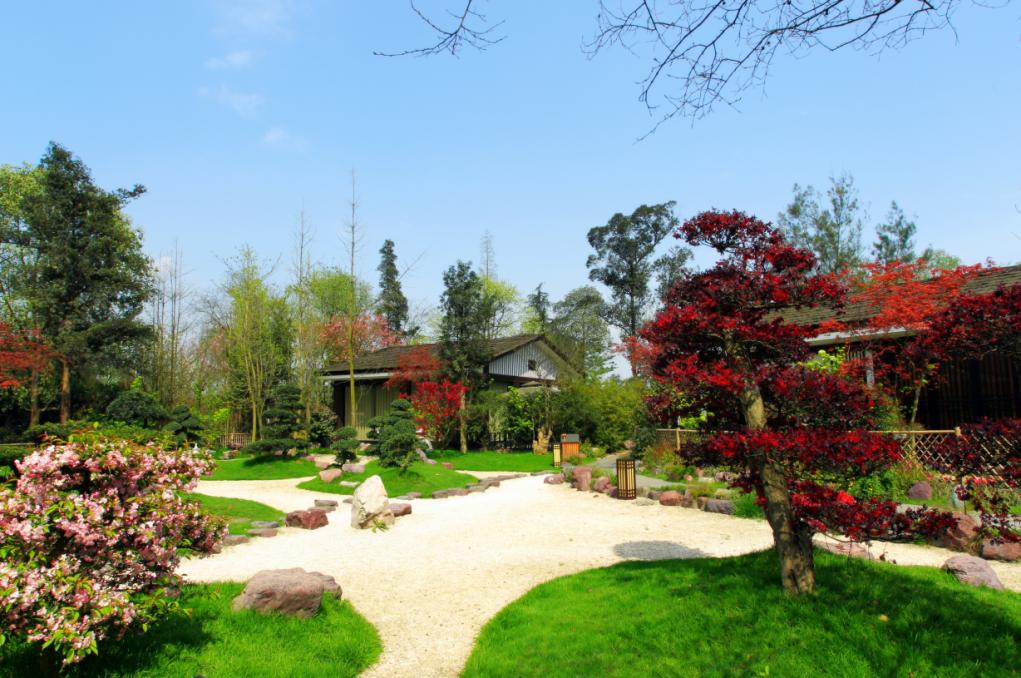 成都温江创新驱动乡村民宿发展开创旅游新体验