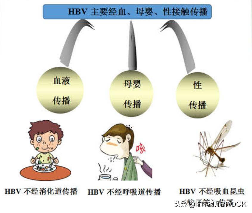 孩子乙肝疫苗没有抗体需要补打吗,婴儿乙肝疫苗注射后多久产生抗体