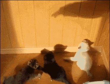 聚划算真的能赚钱吗,聚划算能给人们带来的惊喜