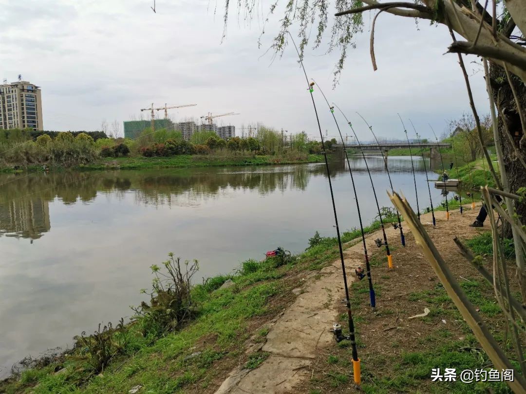 串钩怎么钓不上鱼呢,夏天抛竿串钩能钓大鱼