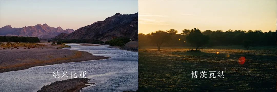 f4重聚演唱,f4再次重聚