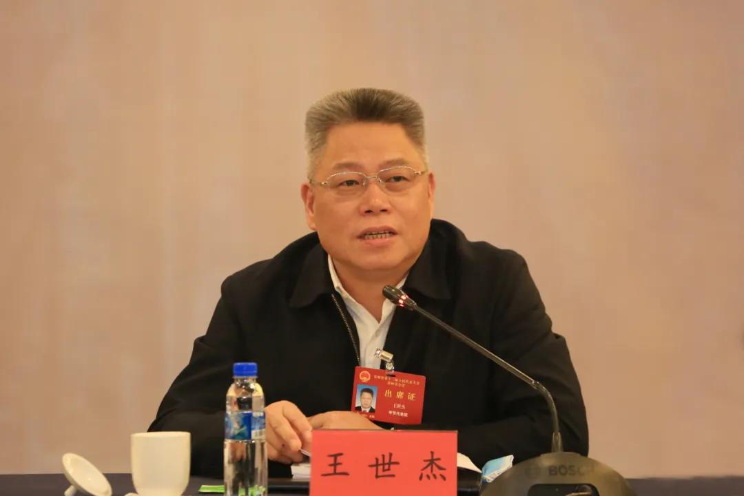 毕节市代表团,毕节市代表团入场