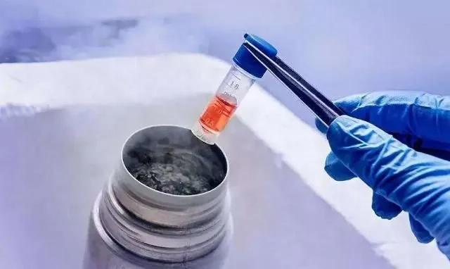 从未婚冻卵案到*会两**，女人为什么想冻卵啊？冻卵究竟是怎么回事？