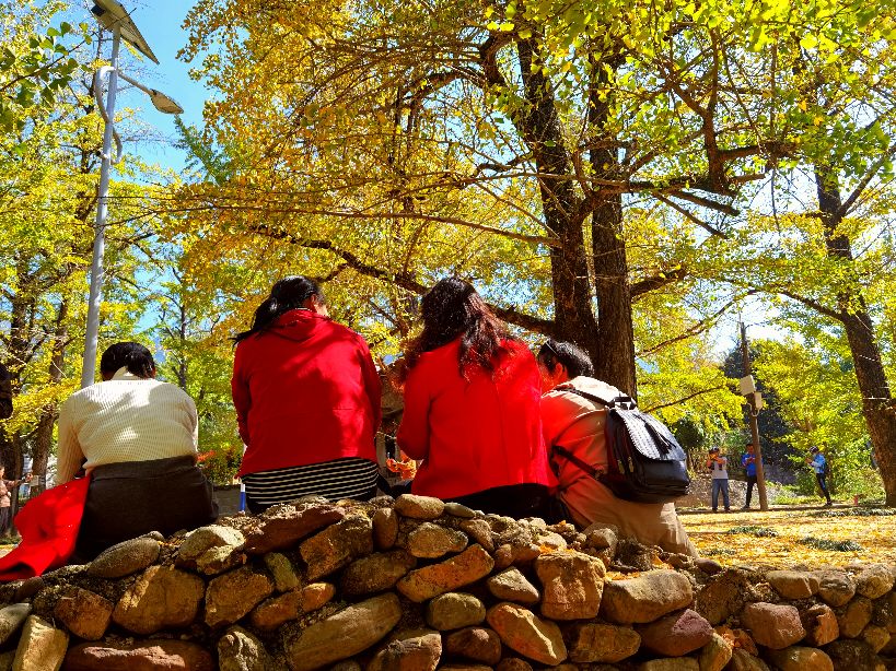 秋天的回忆完整版,秋天的回忆歌曲