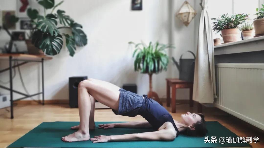 最简单的瑜伽动作初学者,最简单的瑜伽动作刚入门