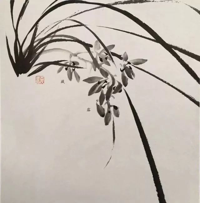 如何画兰花图片大全大图,怎么样画兰花才能好看