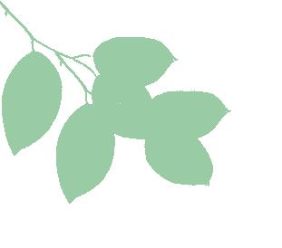 绿野仙踪旅游景区夜晚,画眉谷旅游景区