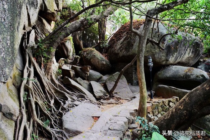 厦门海边之旅,厦门小众旅游体验