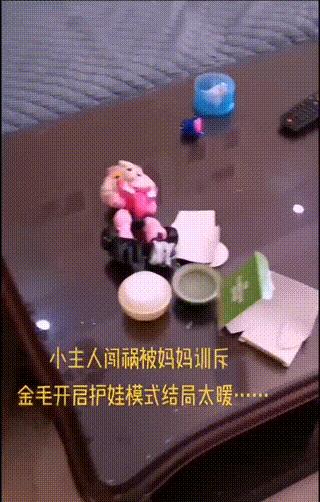 妈妈训孩子狗子护孩子,家长教育孩子对待宠物