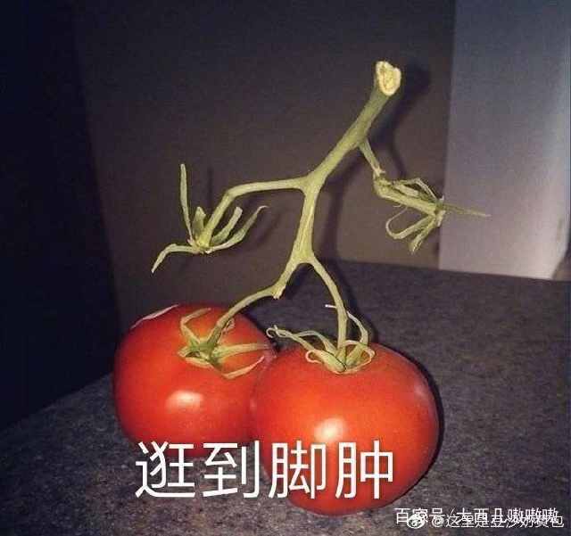 表情包我能怎么办,表情包我能怎么办呢