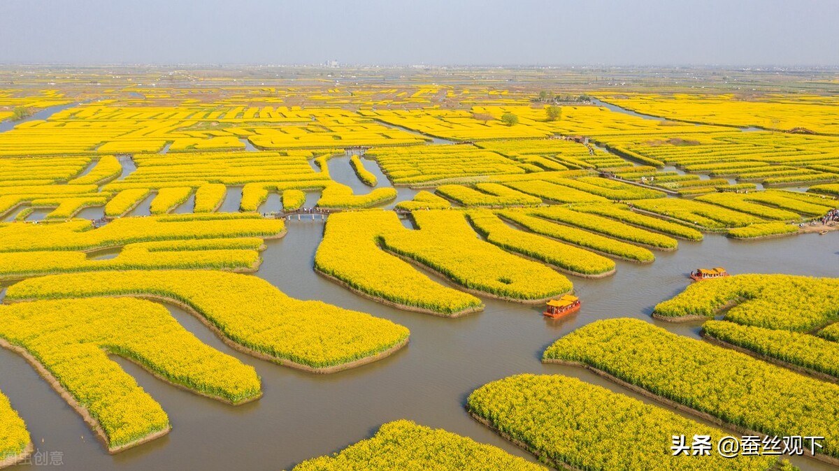 泰州经济支柱是什么,泰州经济分析