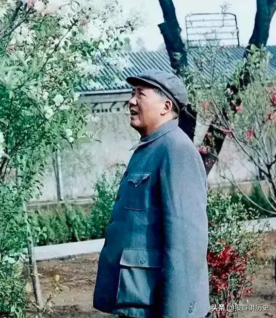 带你认识不一样的毛*东泽**,领略一代伟人的睿智和风采