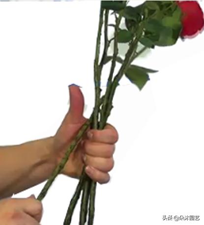 鲜花扎花束教程,手把手教你螺旋花束扎法
