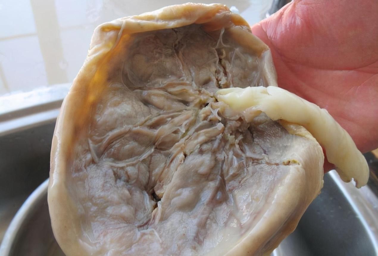 吃胎盘能大补还美容养颜？这块被供上餐桌的“腐肉”，骗了太多人