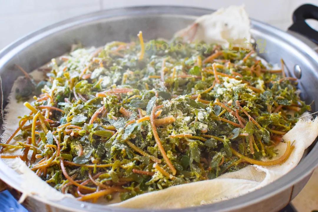 马齿苋是长寿菜你知道吗,马齿苋夏天