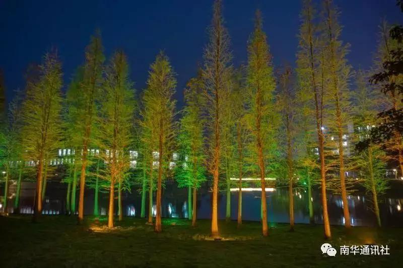 广东南华工商职业学院录取信息,广东南华工商学院专业分数线