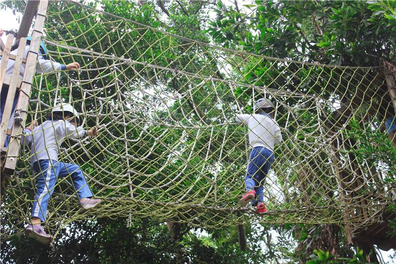 遛娃小勇士,遛娃野外乐园