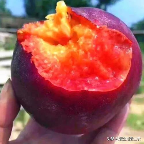 桃中极品黑桃怎么做,桃中极品黑桃