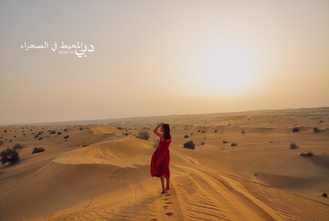 土豪之旅迪拜,迪拜土豪之旅