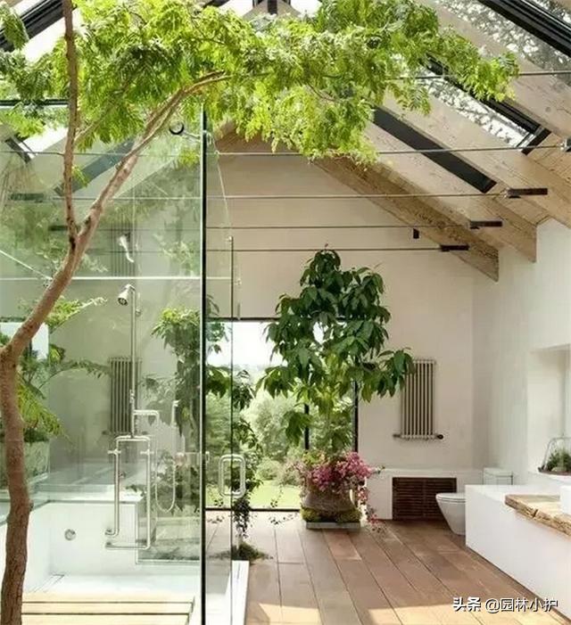 室内景观设计的基本步骤,极简风格室内小型景观设计