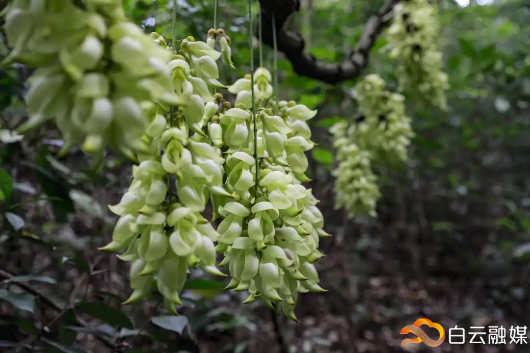 走一起去看美丽的风景,走一起去看美好的风景