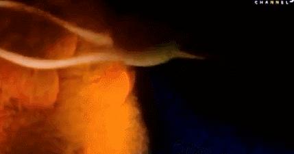 每一个都那么拼命前进，我们还好意思去选择性别吗？