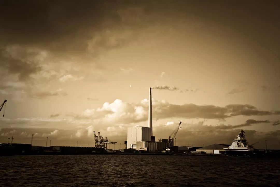 真羡慕丹麦人，连大象都提前退休了