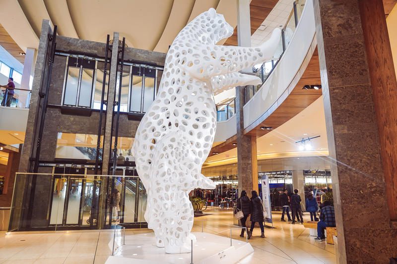 加拿大魁北克冰雪节,加拿大艾伯塔省节