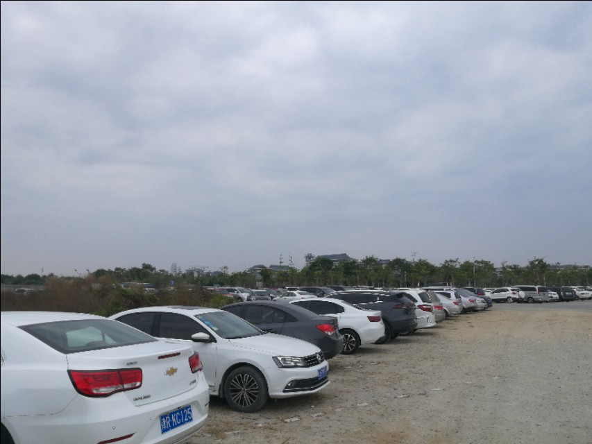 大批候鸟老人到海南三亚养老,海南三亚老人颐养院