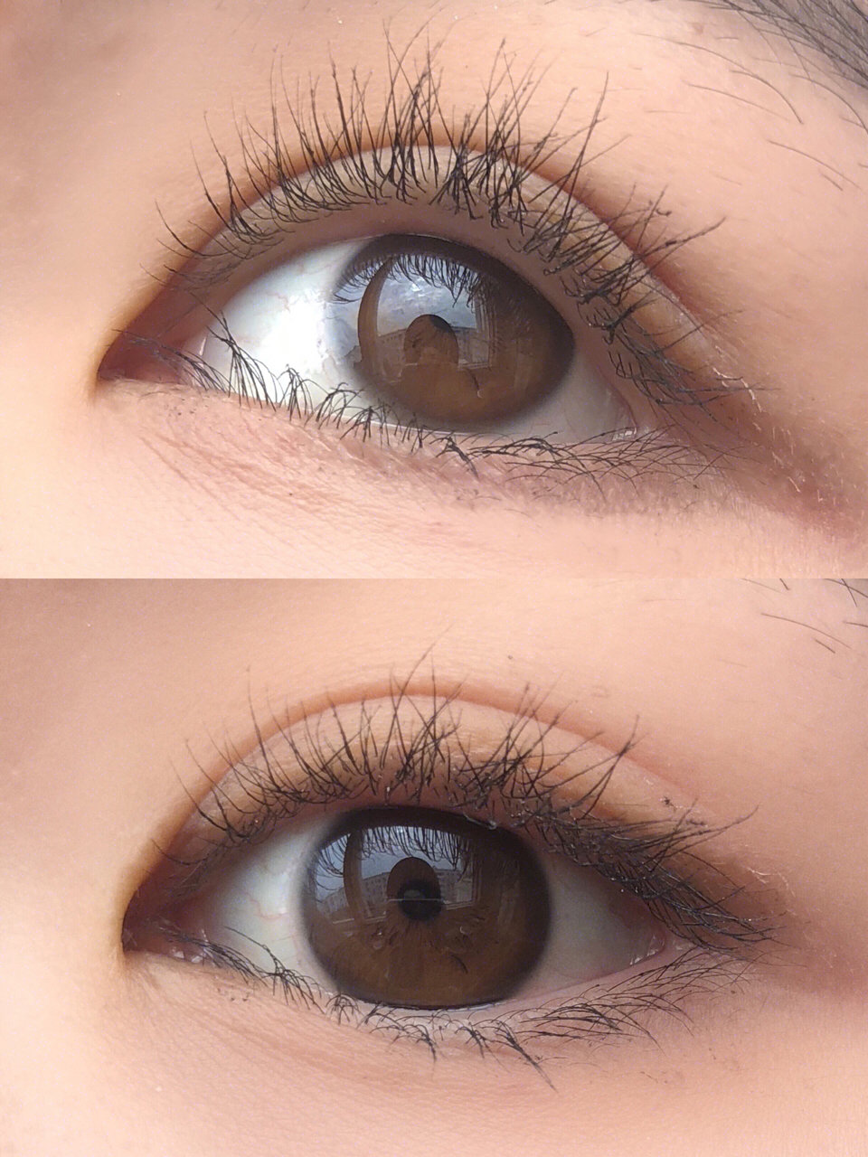 怎么样的睫毛膏好,火烈鸟和bob哪个睫毛膏好用