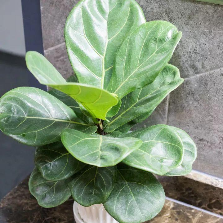 高空自习室深圳,深圳高空自习室