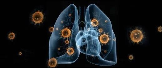 刚刚复市已有部分厂家上调坯布价格！日韩疫情蔓延，外贸形势严峻