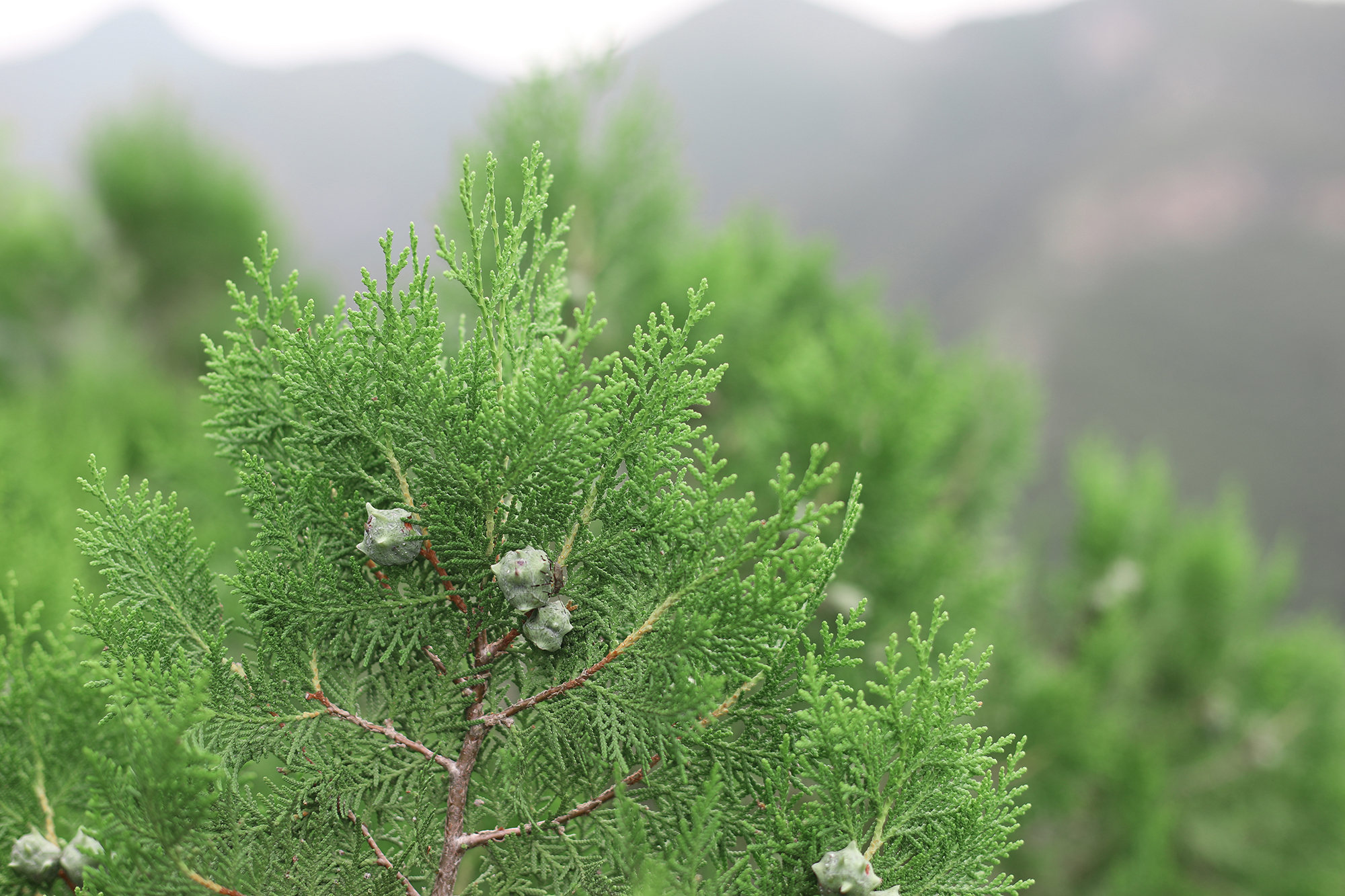京郊房山登山路线,房山东港登山步道