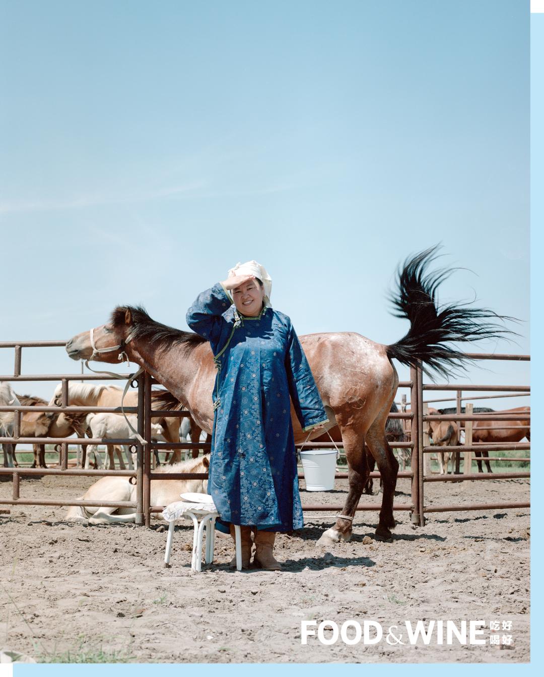 内蒙古阿拉善盟马奶酒,内蒙准格尔旗马奶酒