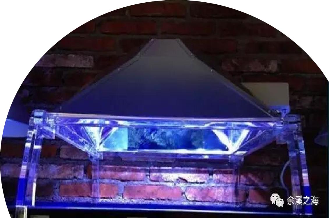 如何开始养珊瑚,新手养珊瑚方法