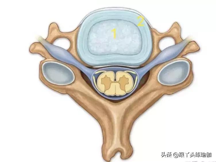 初学瑜伽颈椎基本动作视频,颈椎瑜伽初学入门视频教程