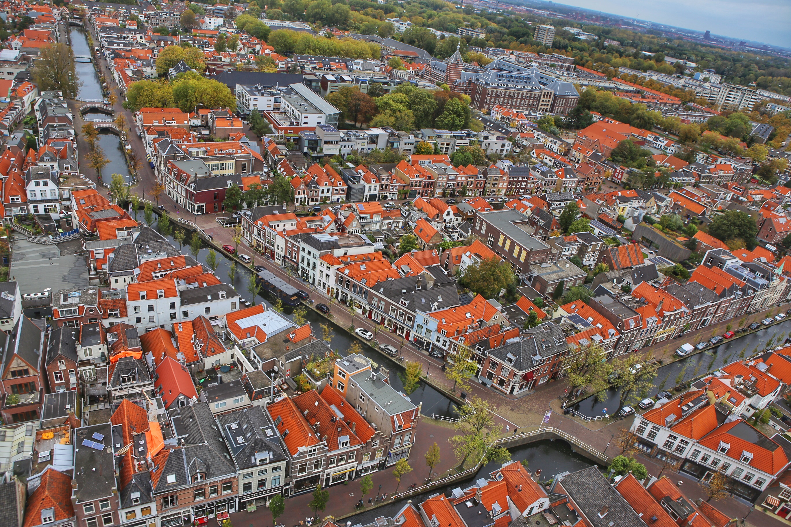 荷兰为什么是农业大国,为什么说荷兰是个开放的国家