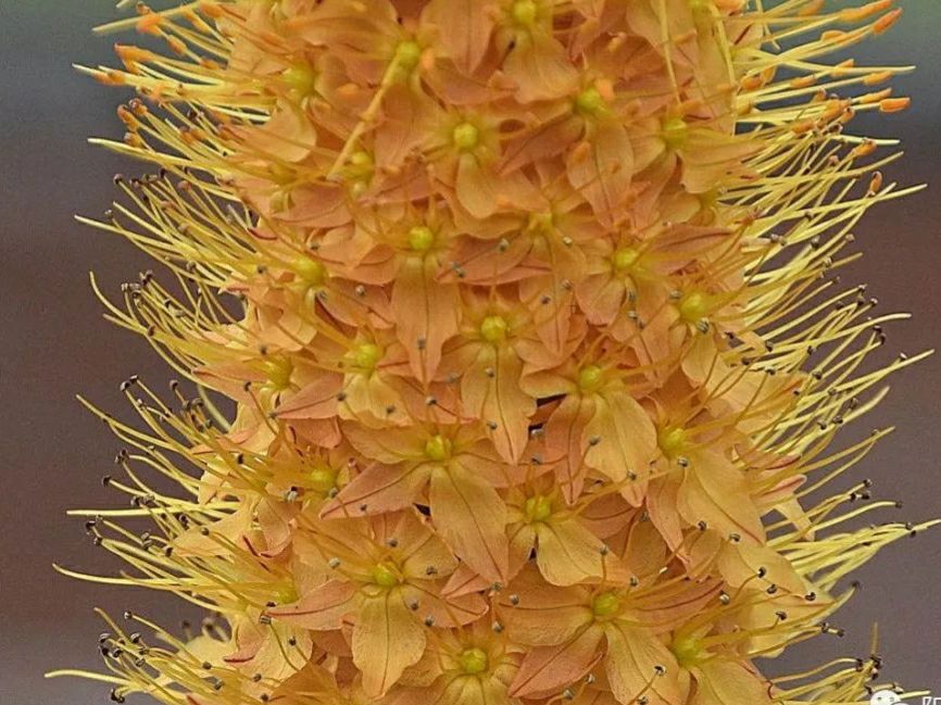 熟背高中英语单词必背3500词,高中三年必背英语单词3500