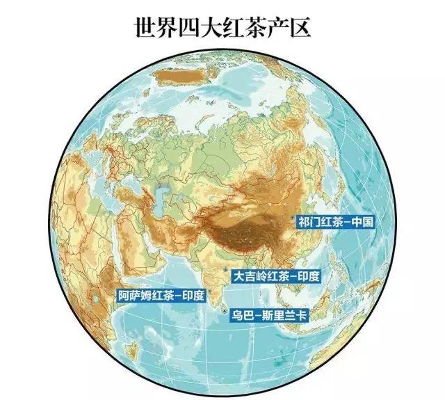 如火如荼|红茶界的F4，来啦