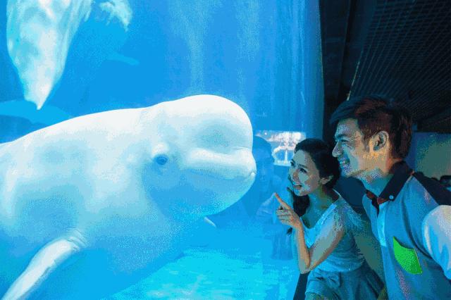 结棍！浦东又双叒叕要爆发了，全上海都得羡慕！