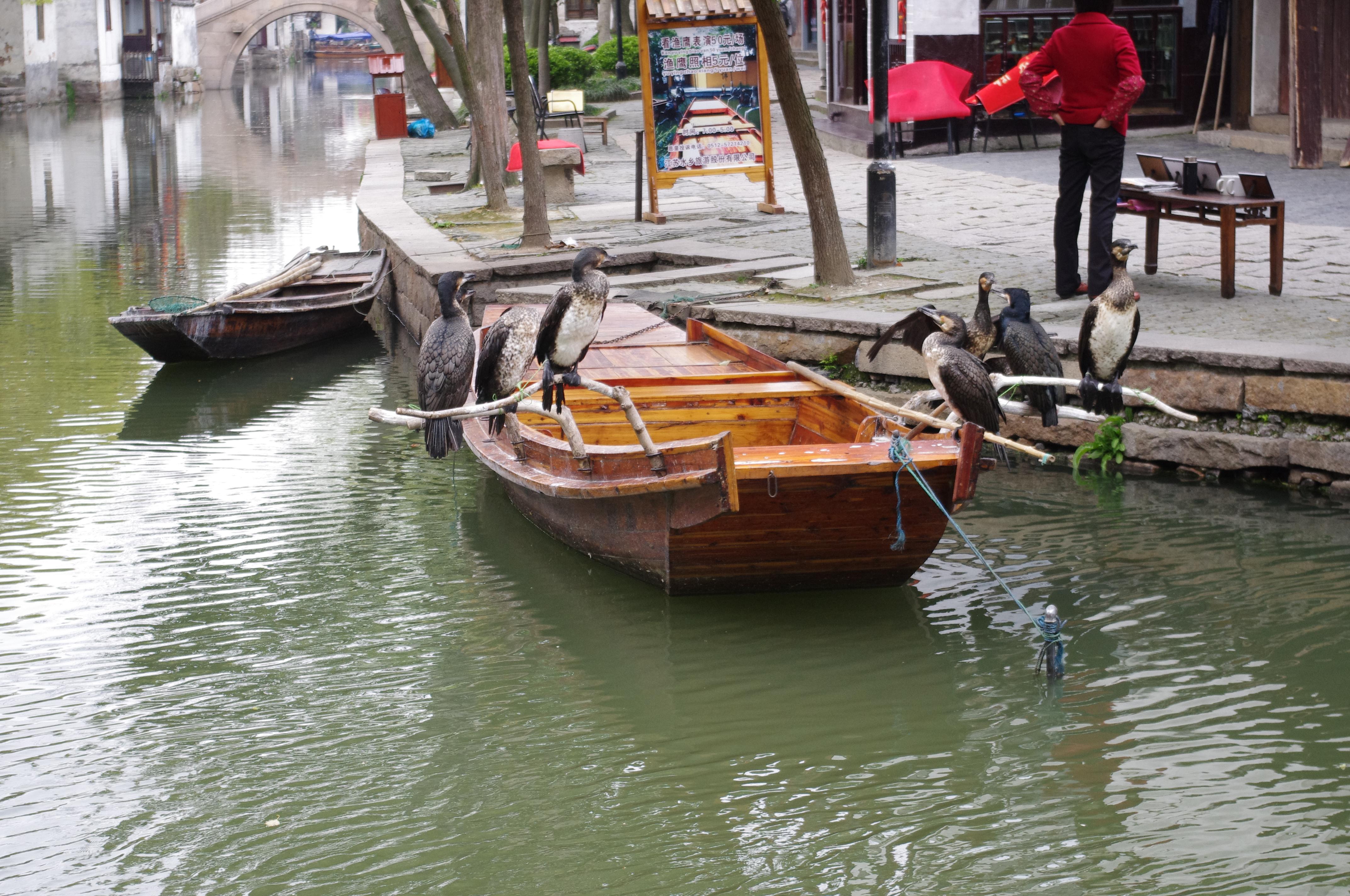 周庄古镇免费进入攻略,周庄古镇门票免费时间